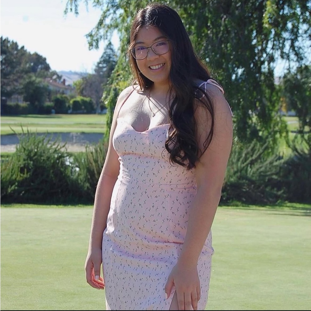 Backyard Roses Dress - Picture 7 of 8